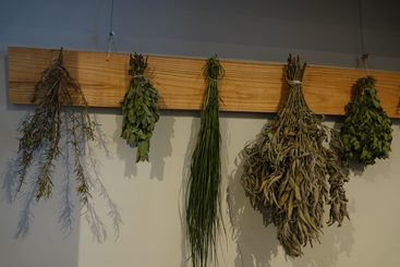 „Skarby apteki” - nowa wystawa w Muzeum Ziemi Wieluńskiej